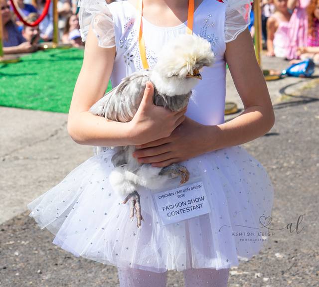 The Ballerina & Her Plume