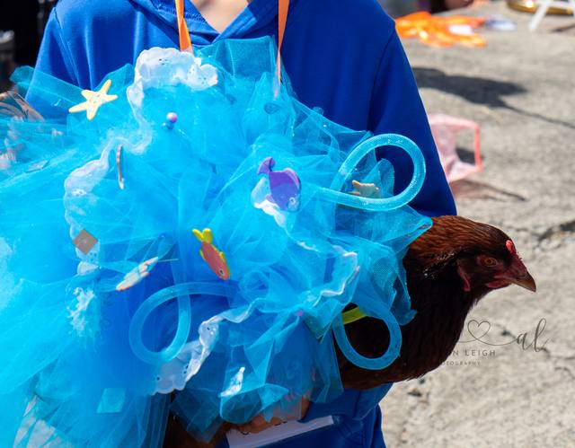 A Cloud of Blue Tulle