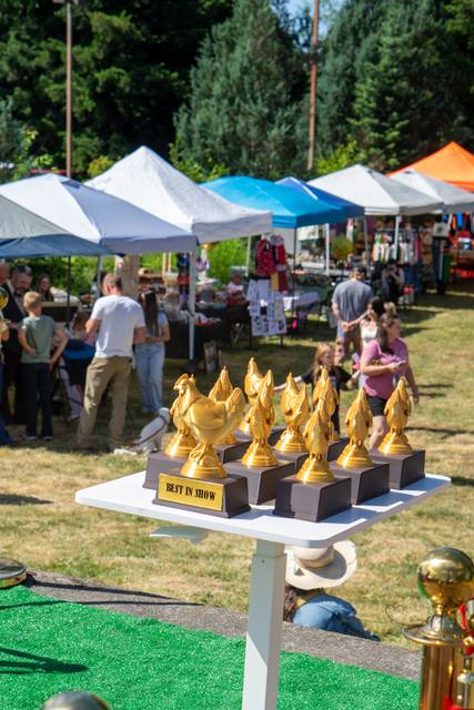 The Coveted Golden Chickens