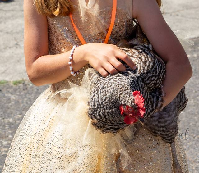 Golden Hour Gown