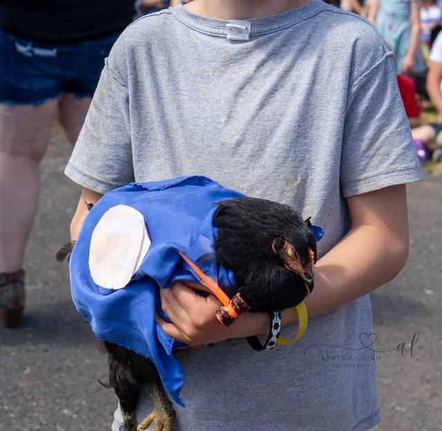 Superhero Sidekick
