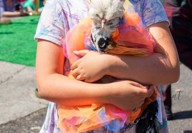 Tie-Dye & Tail Feathers